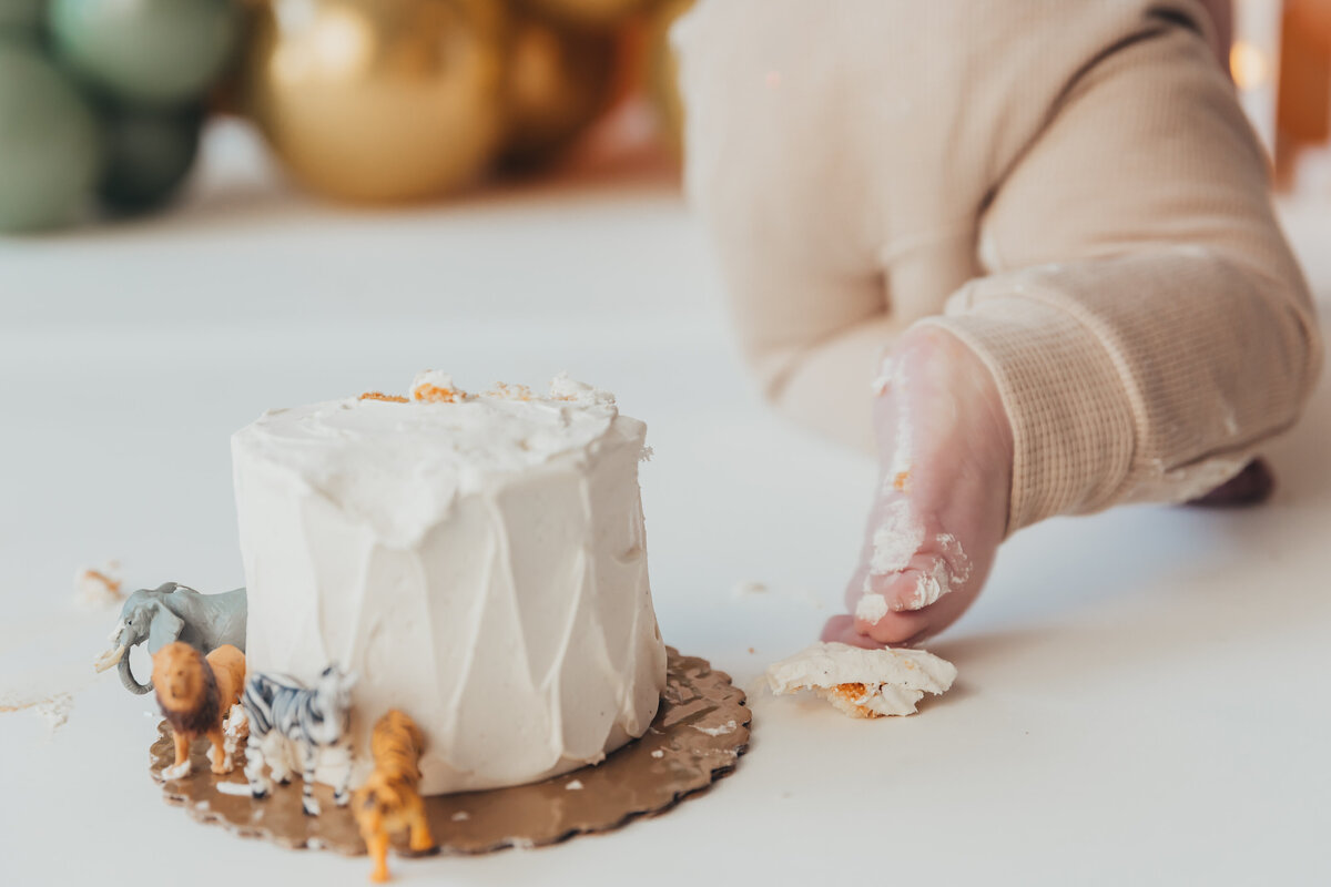cake-smash-photographer-harrisburg_3621