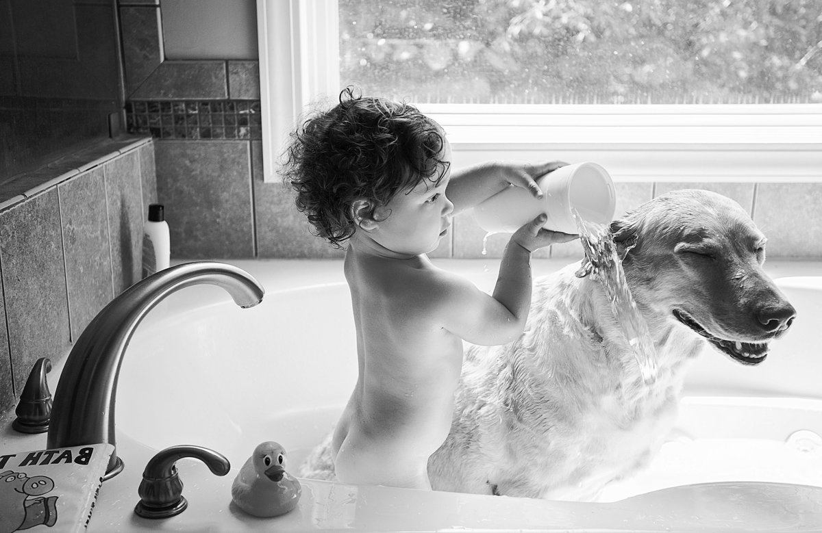 charlotte documentary photographer creates a beautiful image of a toddler and a dog in a bathtub