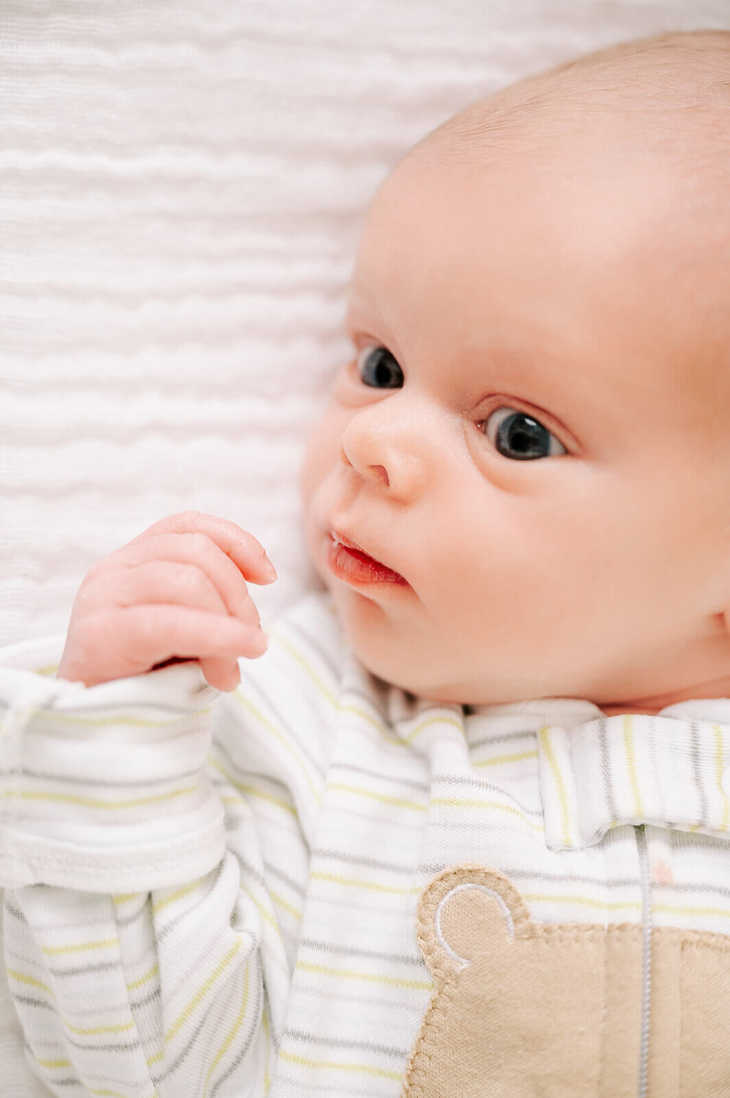 winston salem lifestyle studio newborn photographer-92