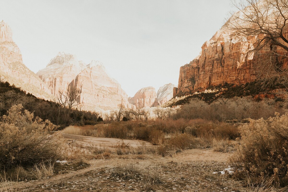 Zion-National-Park-33