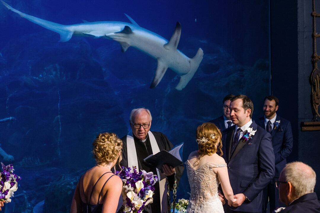 FoxBrazen_TothWedding_2103aSM