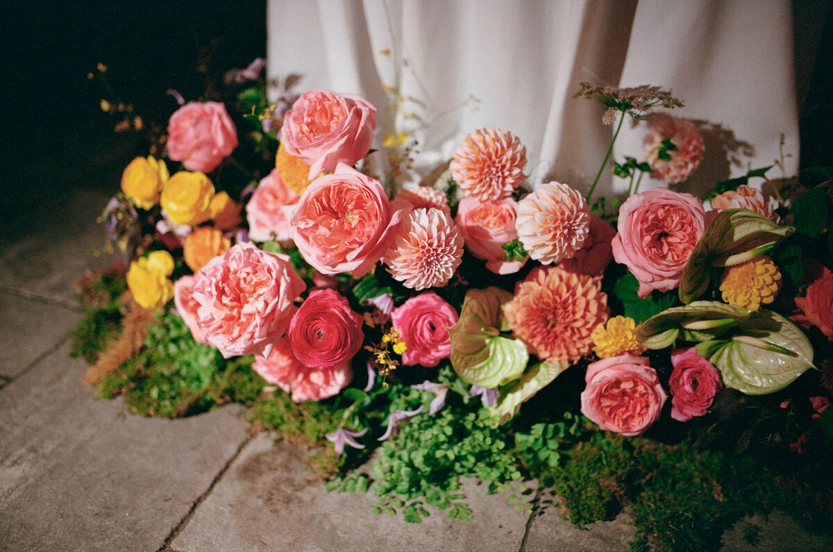 christina-clark-film-sneaks-15