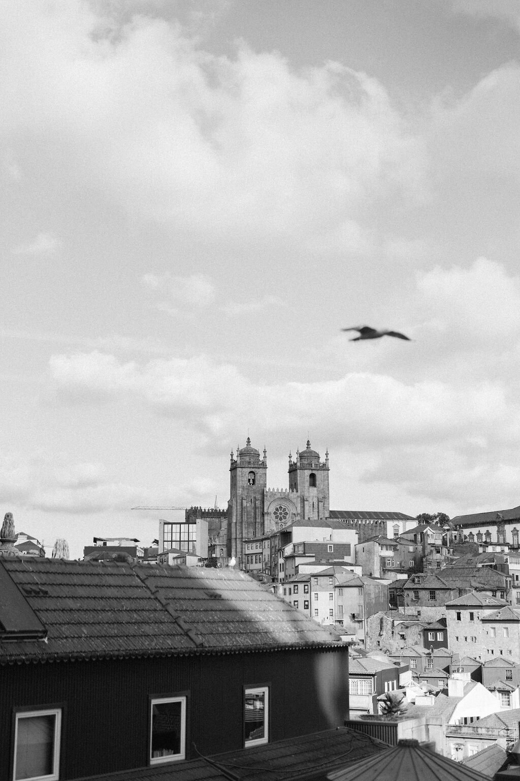 Illuminare-Porto-2025-1425
