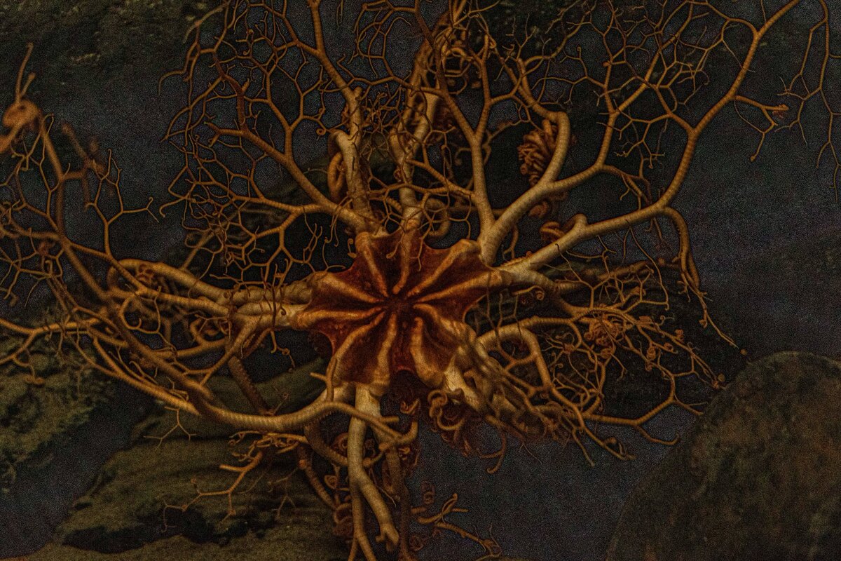 5H1A1265