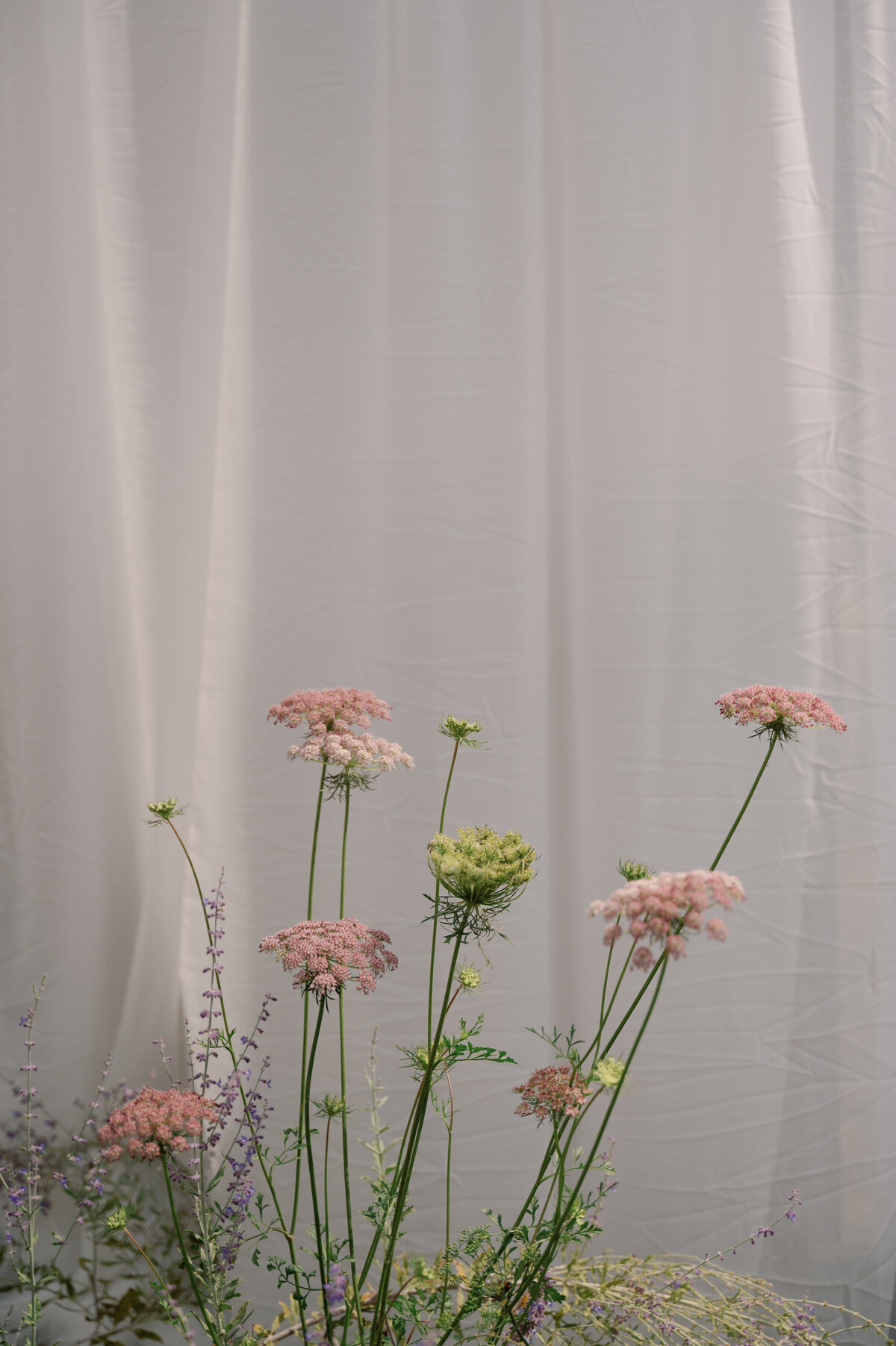 Destination-Wedding-Photographer-Erica-And-Max-Jenna-Martin048