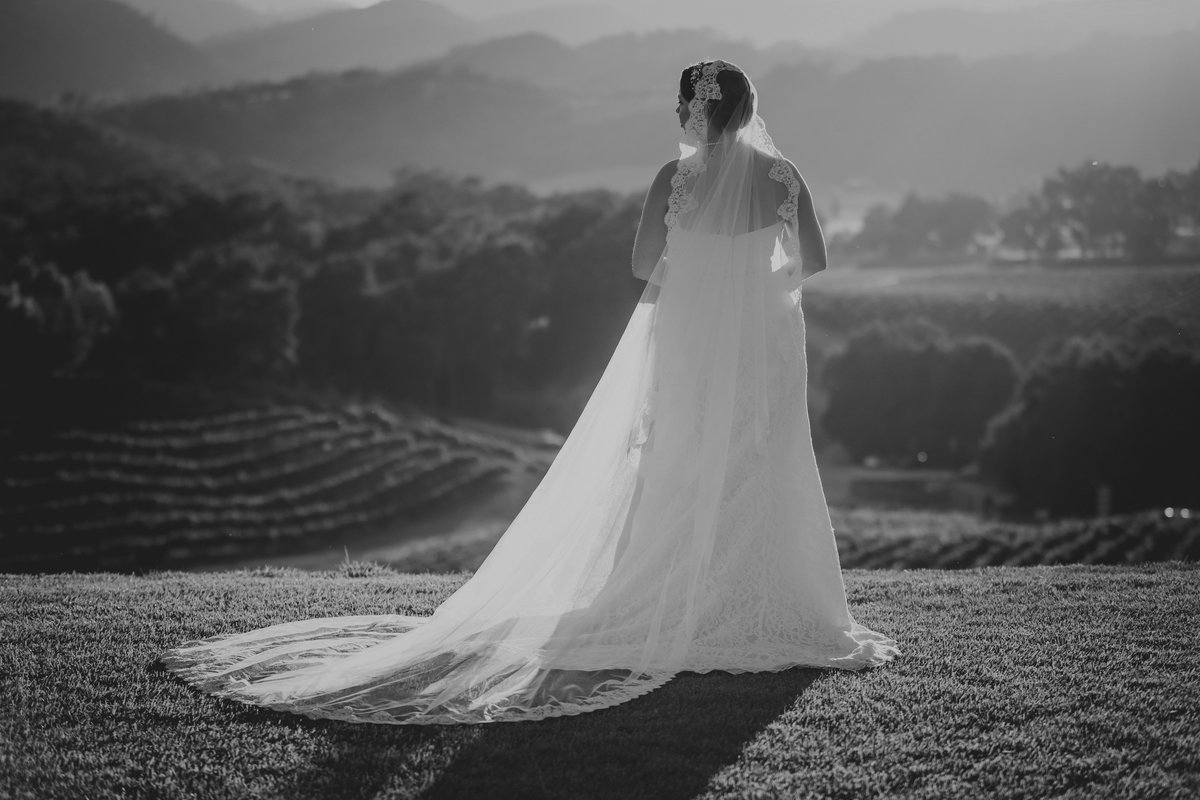 opolo_vineyards_wedding_by_pepper_of_cassia_karin_photography-134