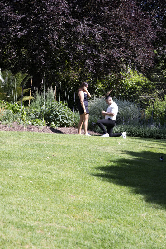 Surprise-Proposal-Liminal-Wonderland-Melbourne039