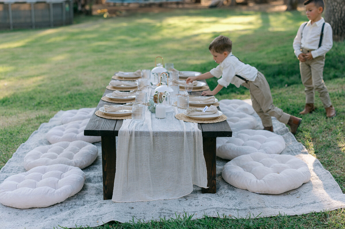 Alyssa + Brandon, Pilot Hill, CA Wedding 7-11-25-120
