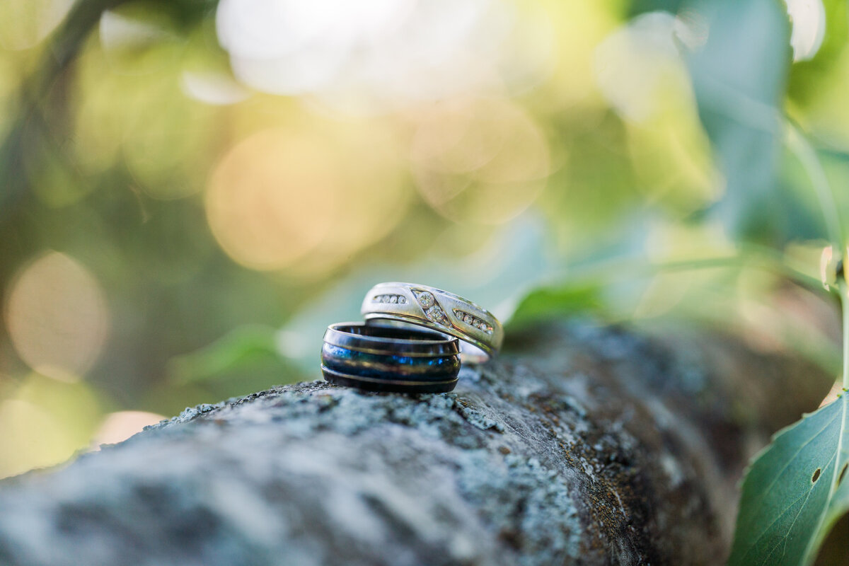 Detail of two wedding bands on a tree