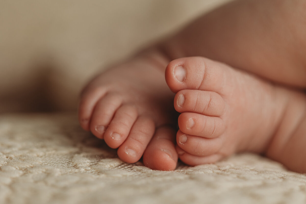 lindstrom-mn-newborn-photography-tiny-toes