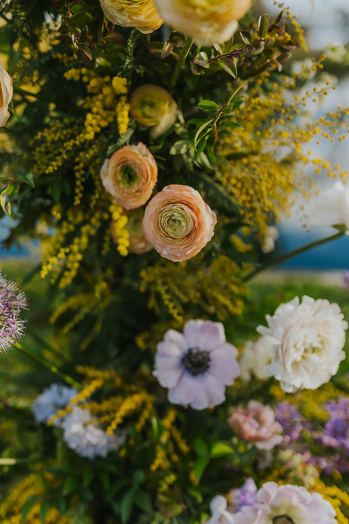 Purple Anemone and Peach Poppies