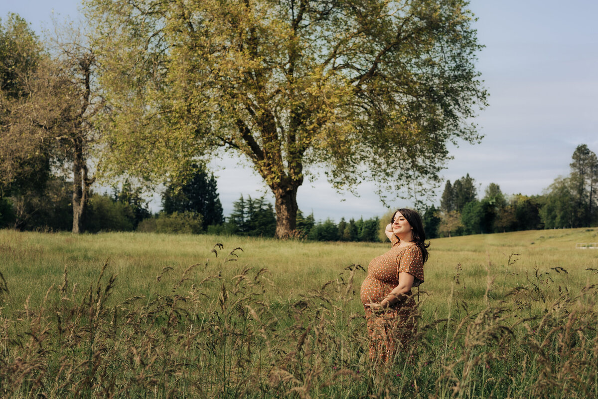a maternity session in a field with a giant tree in the background
