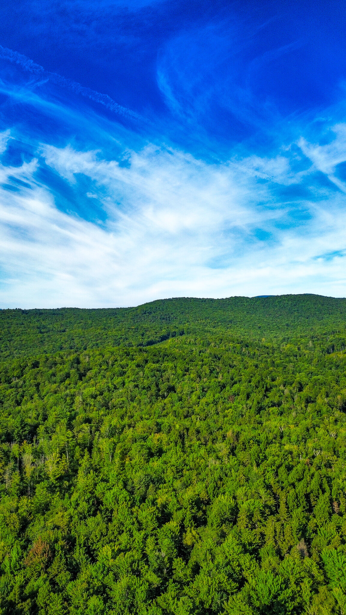 dji_fly_20240810_042230_182_1723461682055_photo_optimized