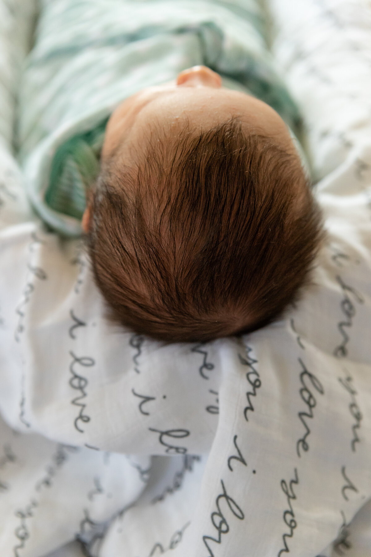 Newborn Boy Portrait