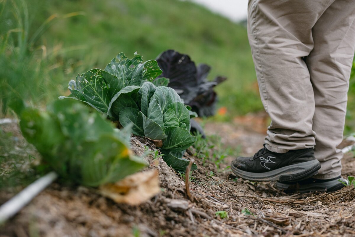 Leap-Lab-Science-Farm-Ventura-California-Santa-Paula-Non-Profit-0021