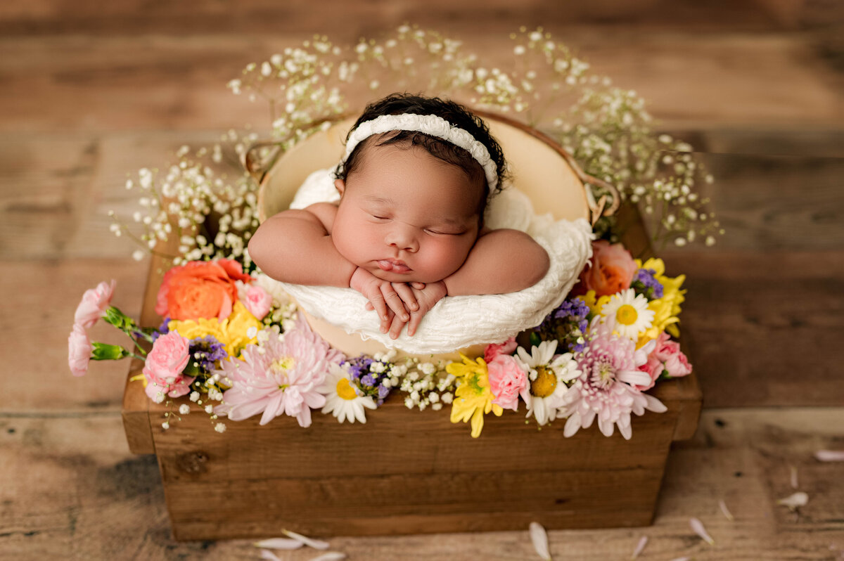 Newborn baby in a basket
