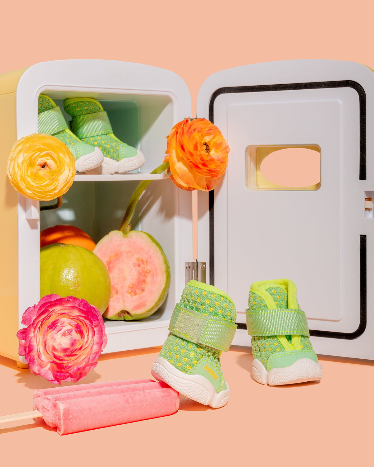 extra- guava fridge close up- rifruf - 04-22 3648 x 4560