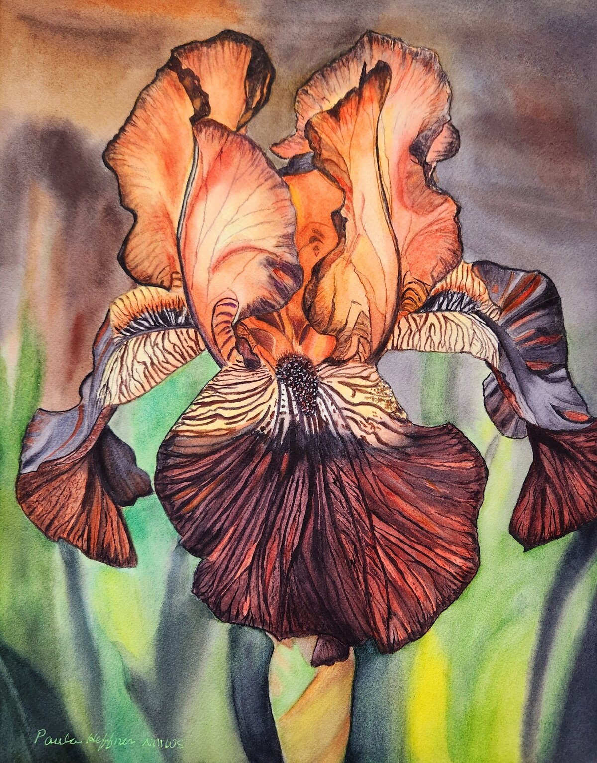 Portrait of an Iris  8_resized_4