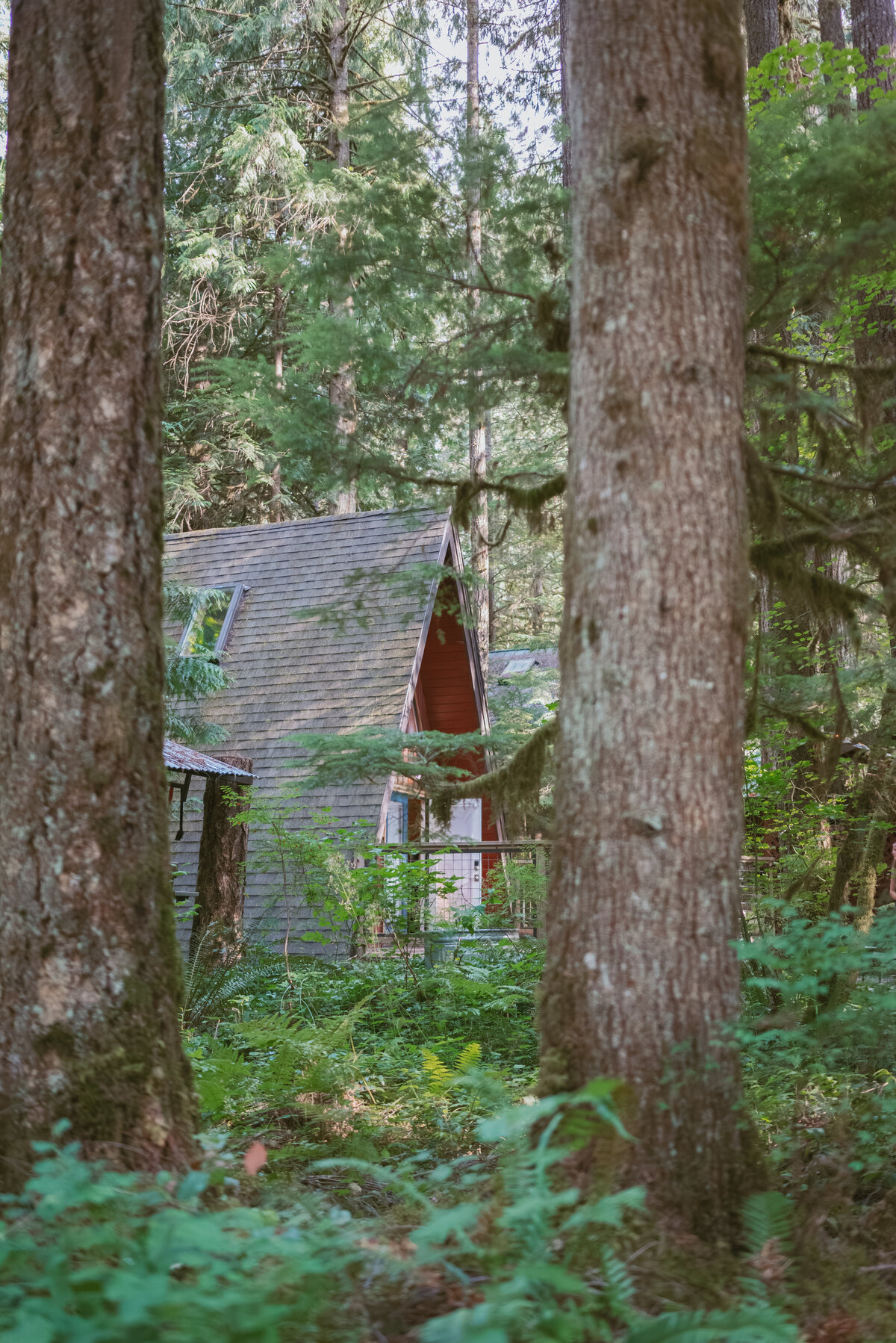 07-24_Brianna & Michael_Artist Point Elopement_PaytonRademacherPhoto-105