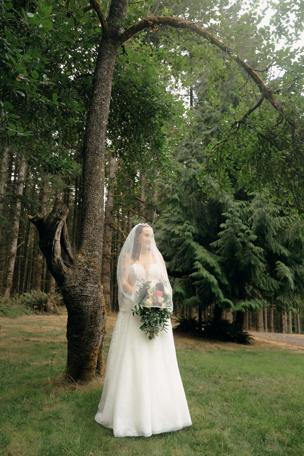 Bride Waiting for First Look in Forest | Timeless Pacific Northwest Wedding Photography