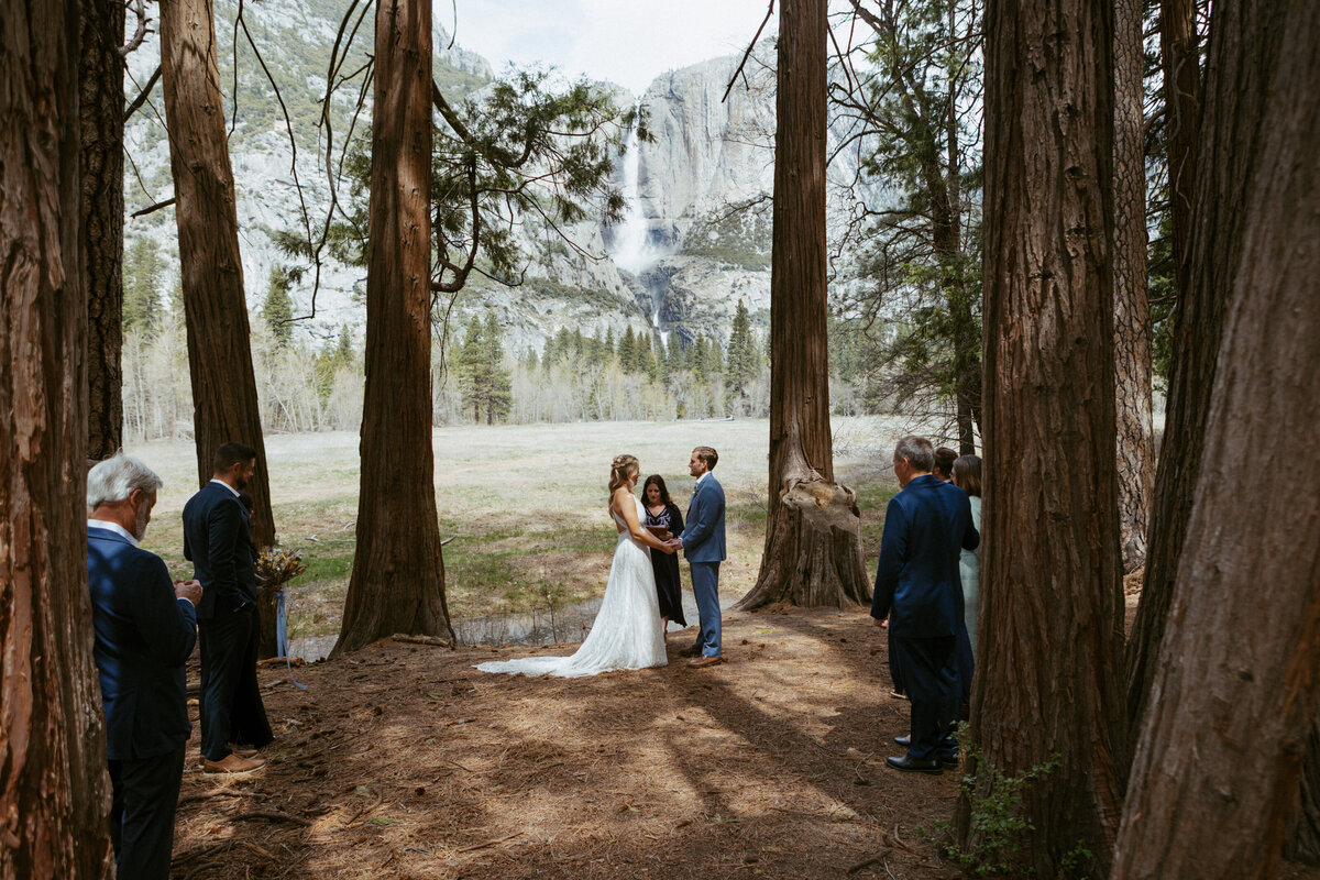 Desert Born Studios - Yosemite- Elopement_-11