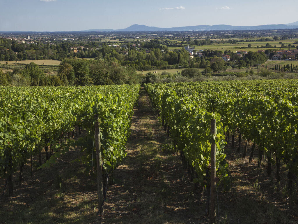 Waterstone - Il Falconiere - Cortona - Luxury Boutique Hotel - Esterno-RCF-Gallery-06