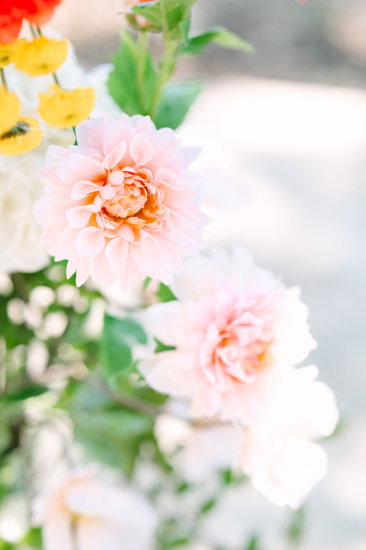 The Addison Grove Wedding Photographer-63