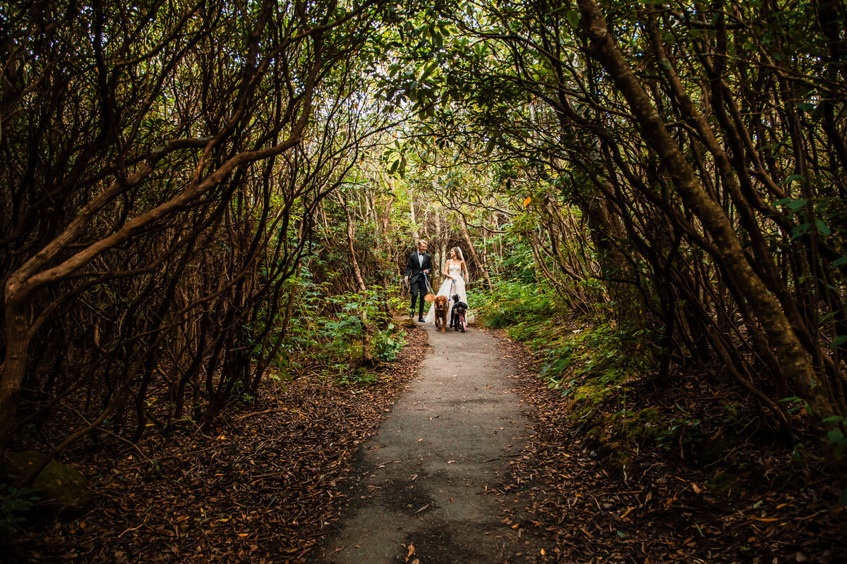 Katrina+Christian-29_B02A6131