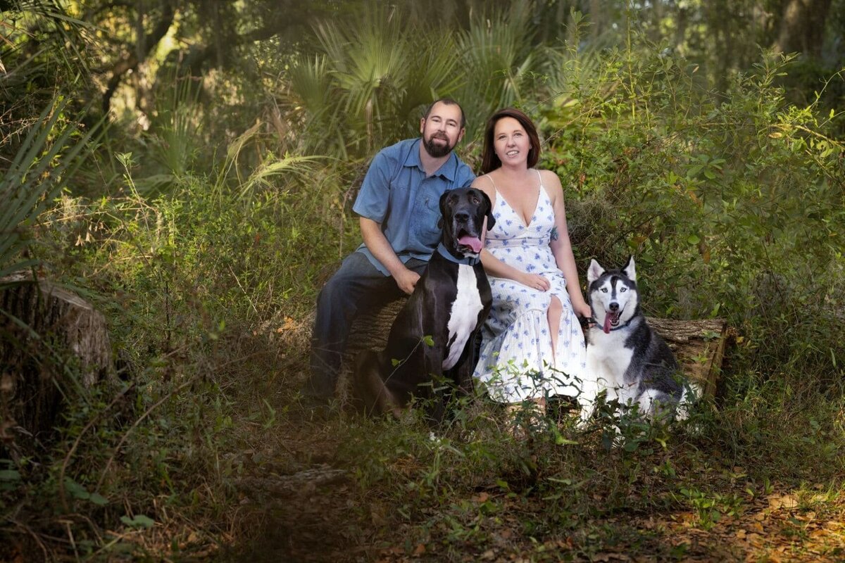 lilla-bordas-portraits-tampa-DOG-photographer1385_2 - Copy