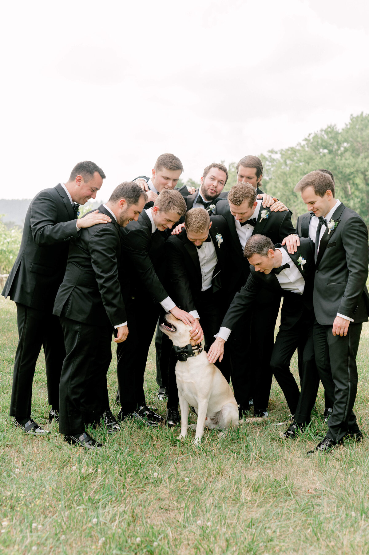 Group photo of groomsmen petting the groom's dog