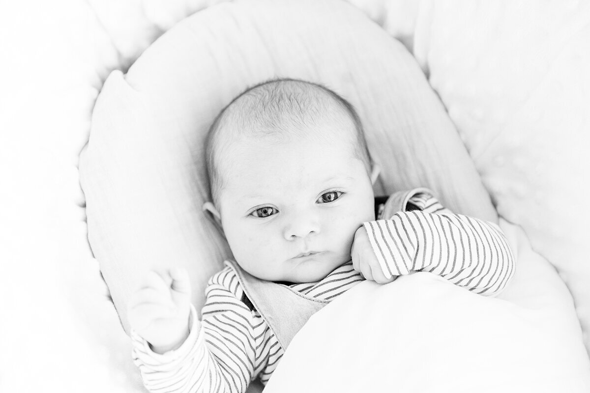 baby fotograaf hoorn