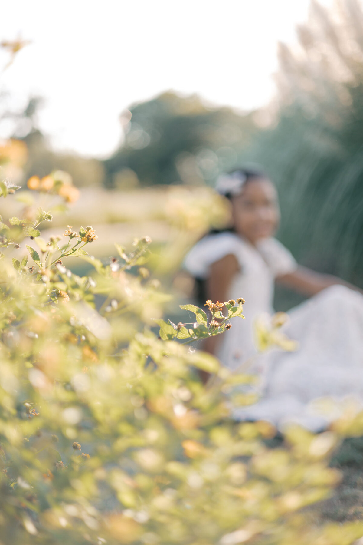 family photography plano tx