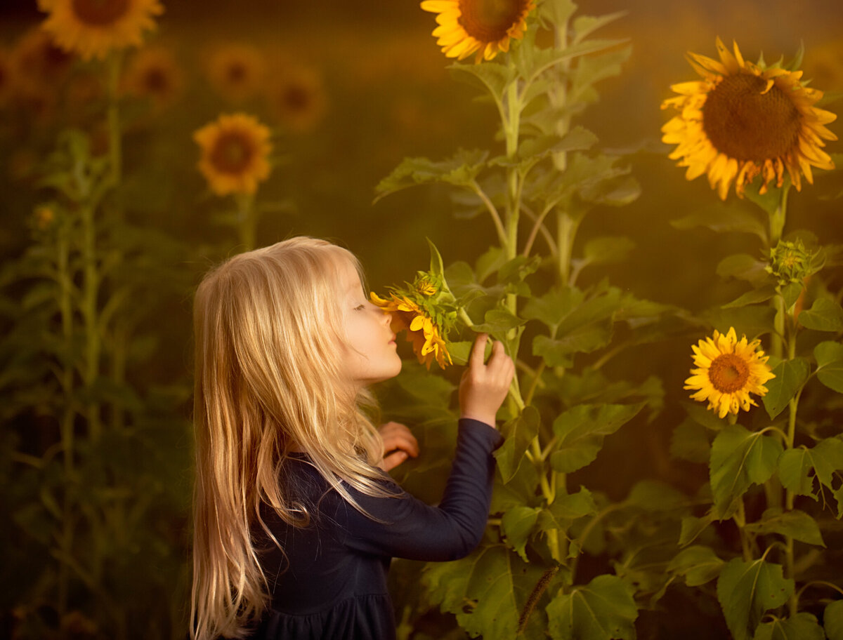 Beautiful outdoor portrait of a young girl surrounded by towering sunflowers at golden hour. Captured in Gardner, Kansas, this vibrant and natural scene is perfect for seasonal child photography.