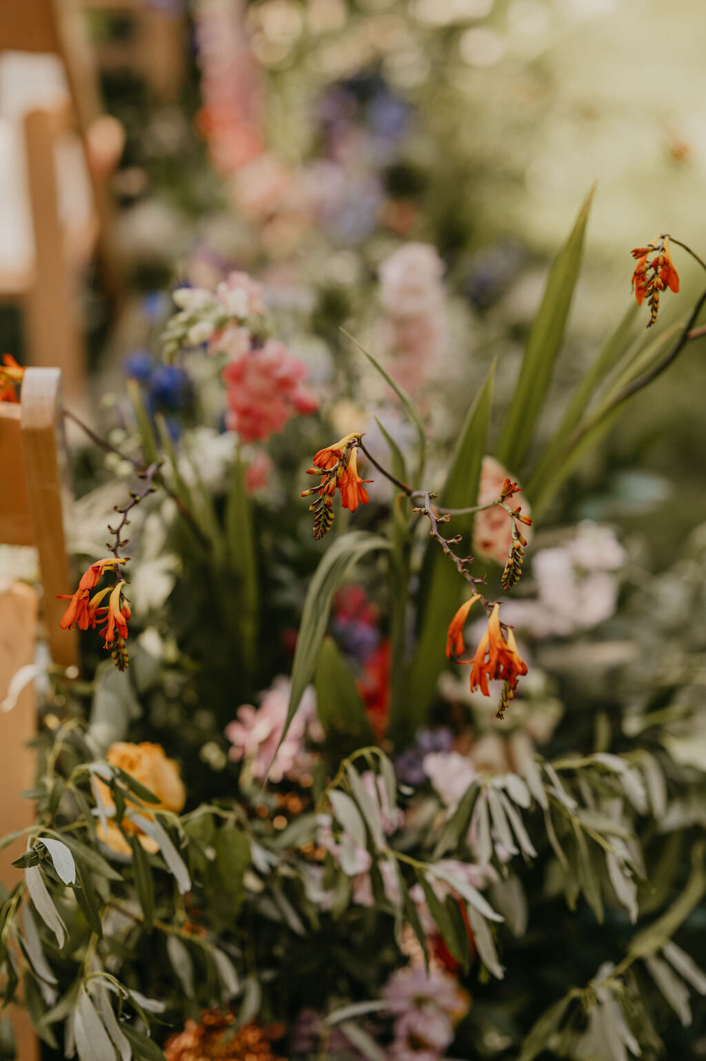 Kirsten+Phil-213