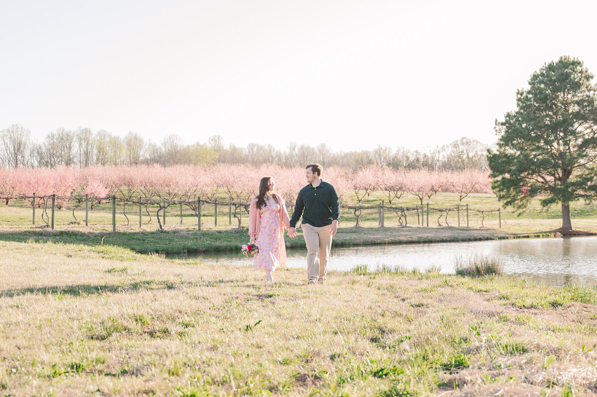 A loving engaged couple holding hands and walking in a field of bright pink cherry blossoms next to a pond in North Carolina by JoLynn Photography, a destination wedding photographer