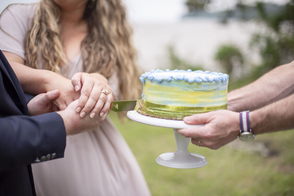 Bride and groom cut a slice of cake