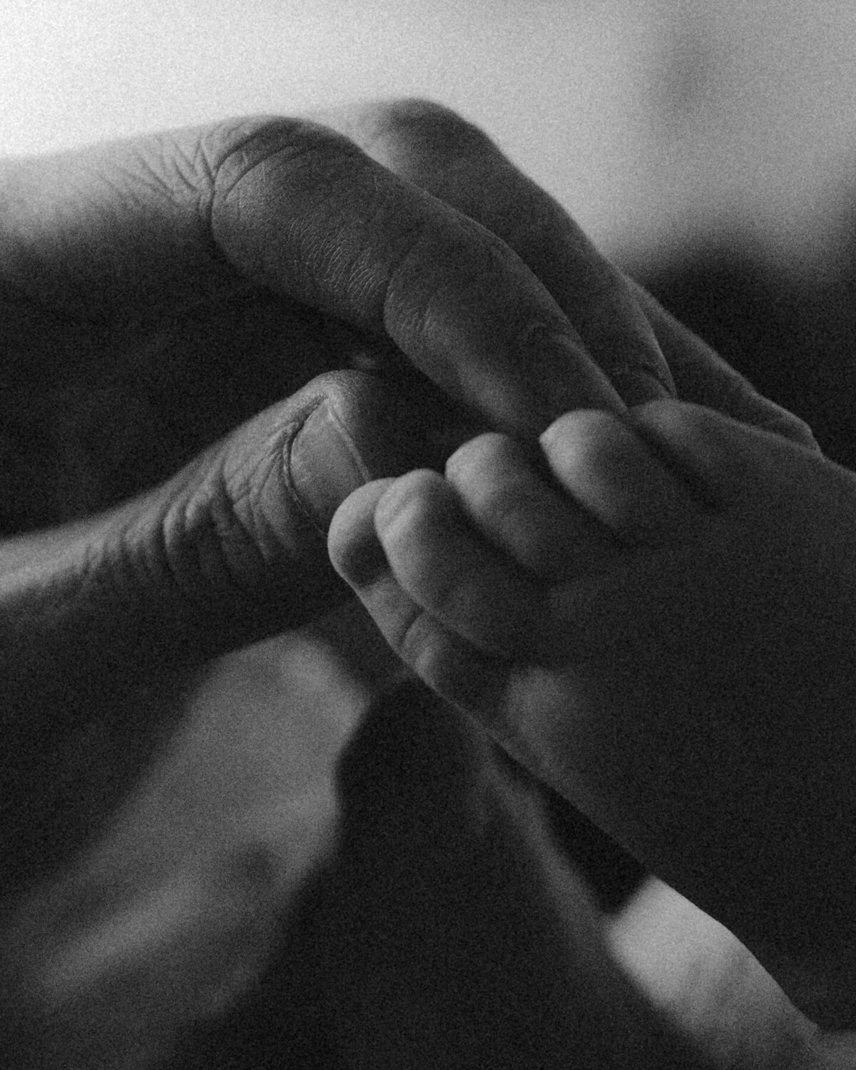 ROAW_Maternity_Session_Paris_ML_0099