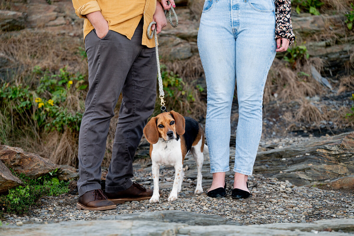 PuppyEngagementSession