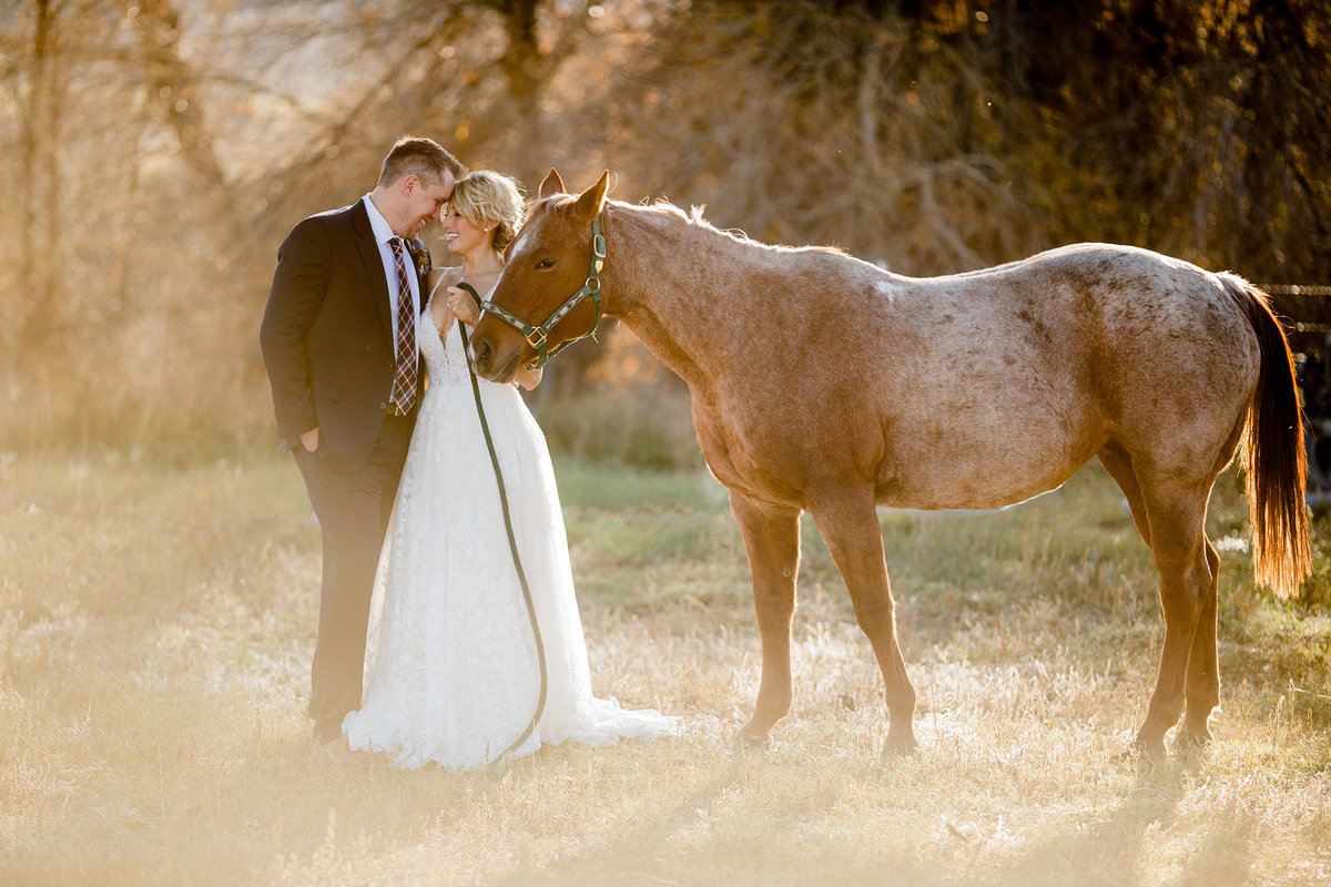 Everett Ranch Rocky Mountain Wedding Outdoor Barn Rustic Salida Colorado Alpaca Collegiate Peaks Vintage Ranch Fish Horse Nature 009