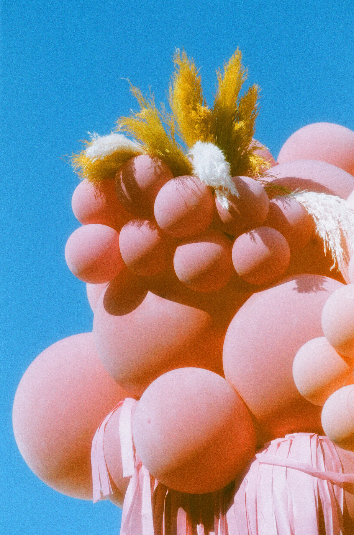 film shots-3