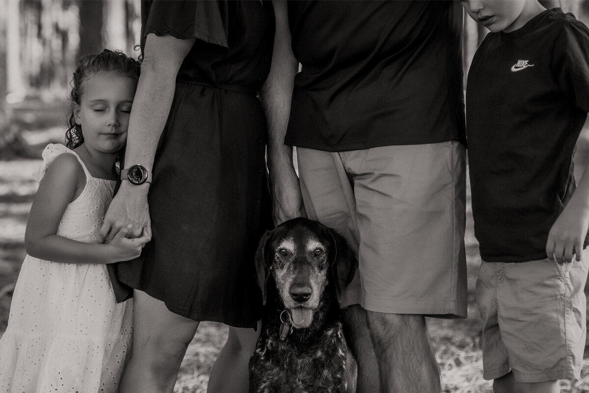 the-lifestyle-phodographer-perth-family-pet-photographer-legacy-end-of-life00014