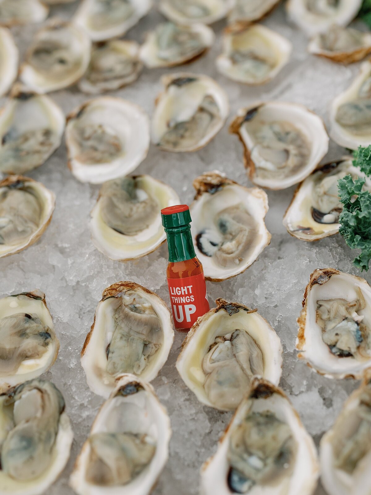 vida-events-wedding--king-family-vineyard-photographer-the-hancocks__1093