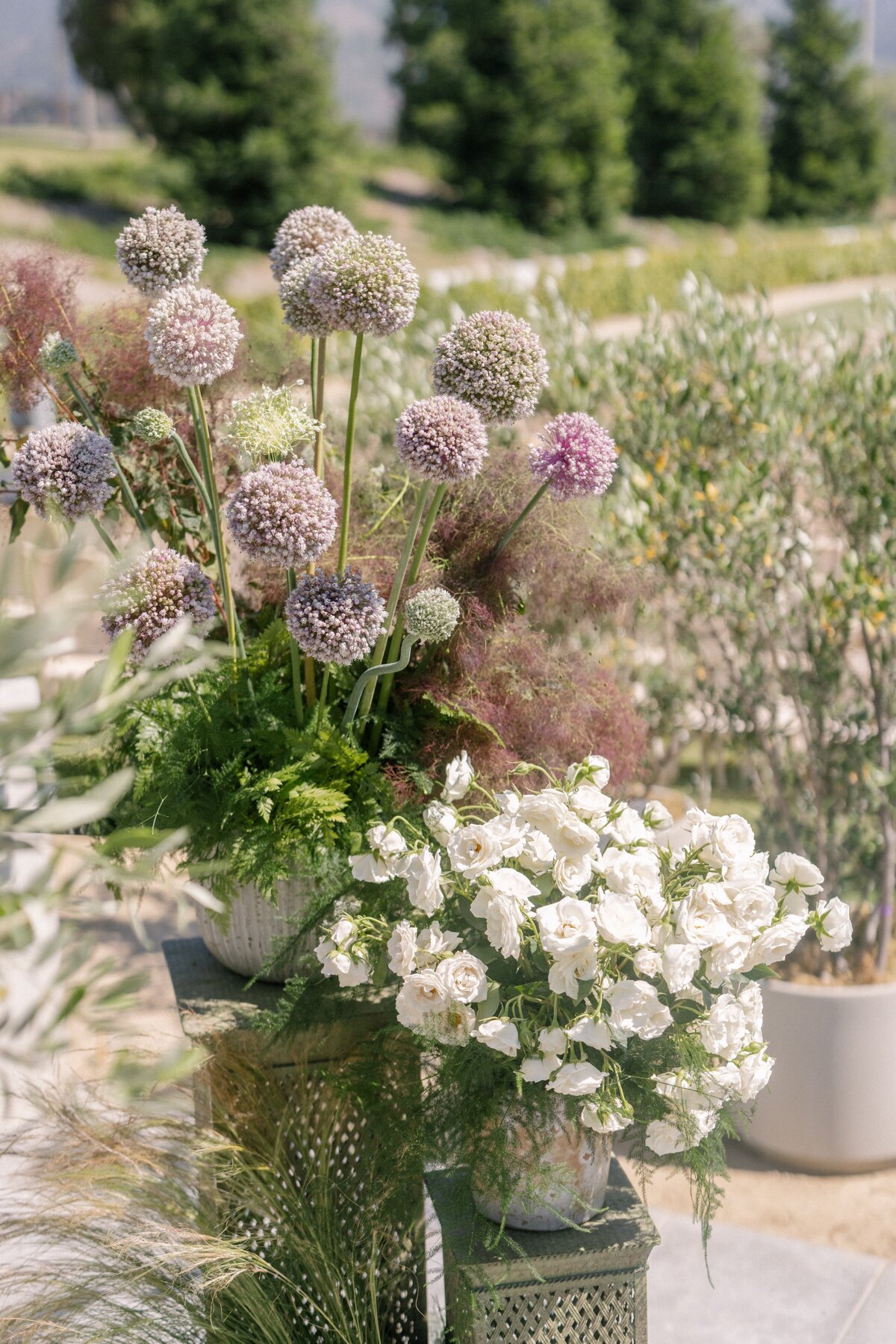 Matthew_Robbins_Ojai_Wedding_@marlieshartmann-9