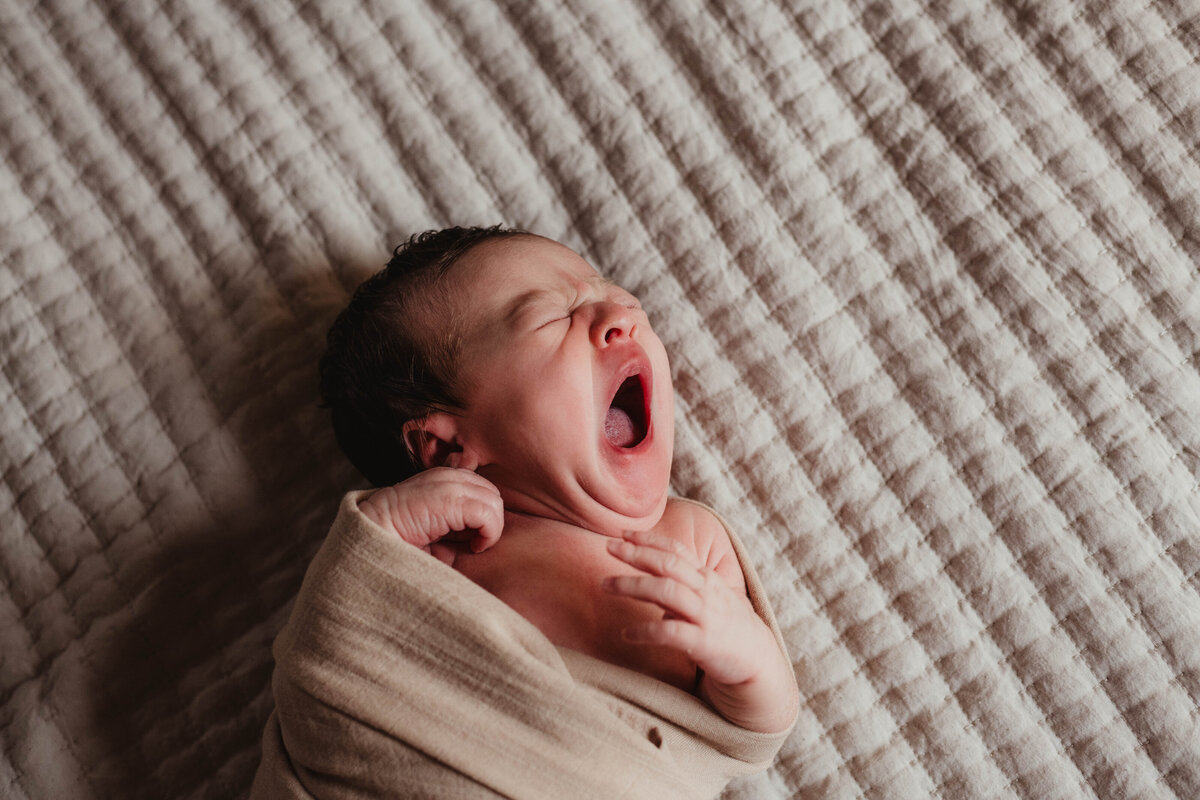 Elizabeth Priniski Madison Birth Newborn Photographer-19