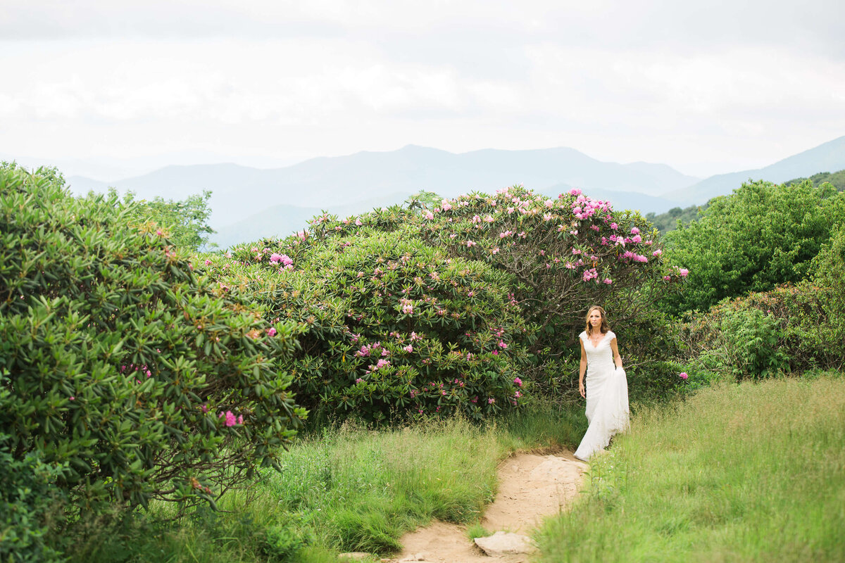 Craggy-Gardens-NC-Elopement-3