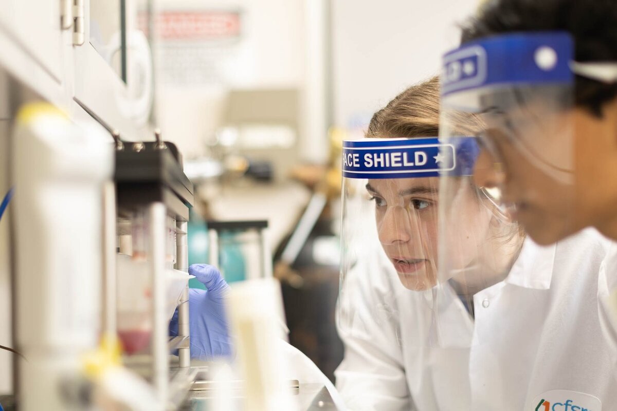 Students with face shields looking at an experiment