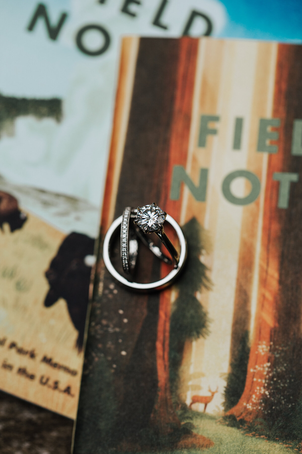 THEDELAURAS_GLENOAKS_BIGSUR_WEDDING_KRISTENJAVIER_0045