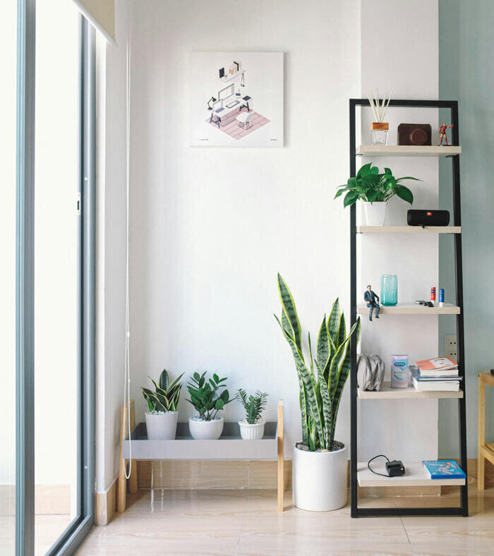 Modern living room interior with plants and bookcase