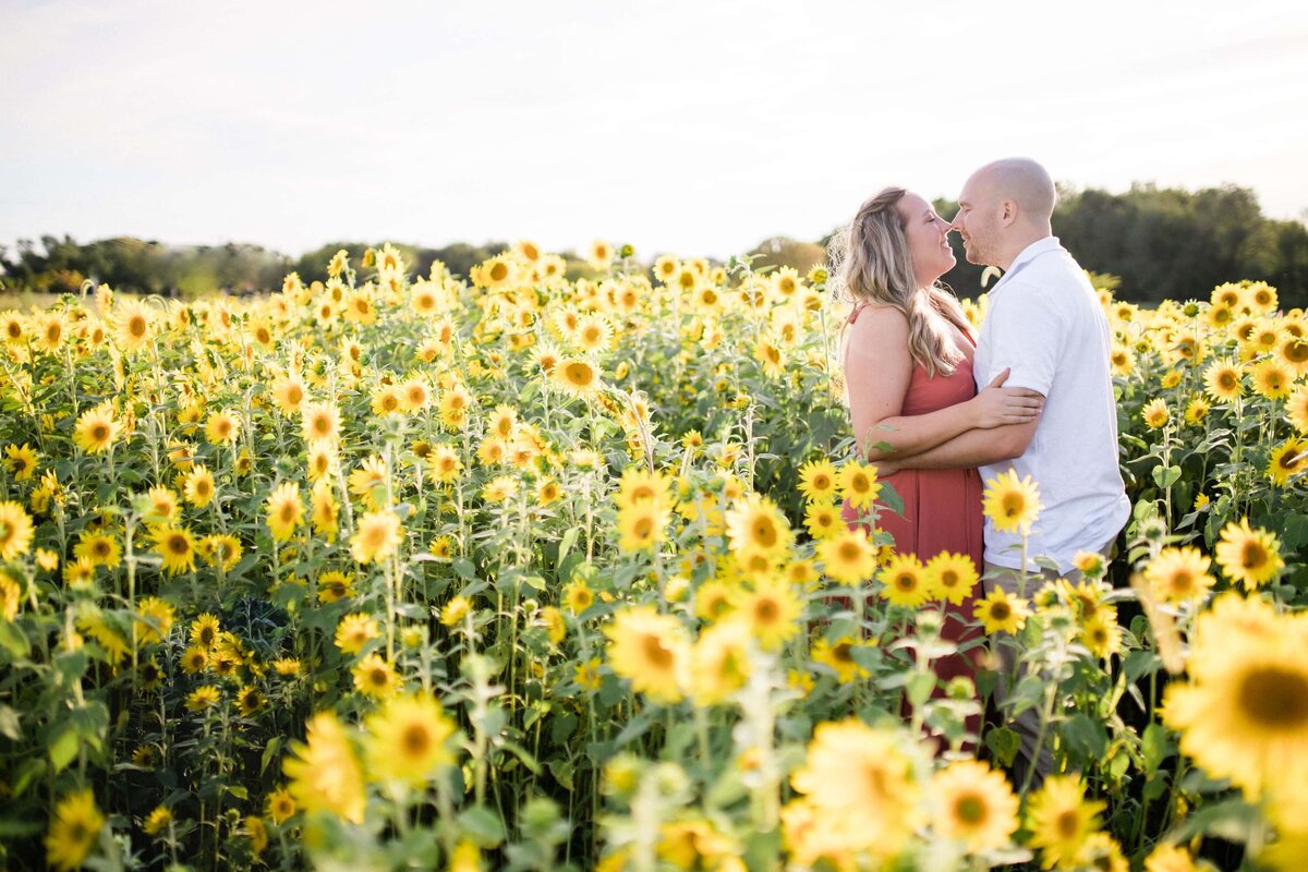 Couple in the middle of a sunflower field in Mechanicsburg PA