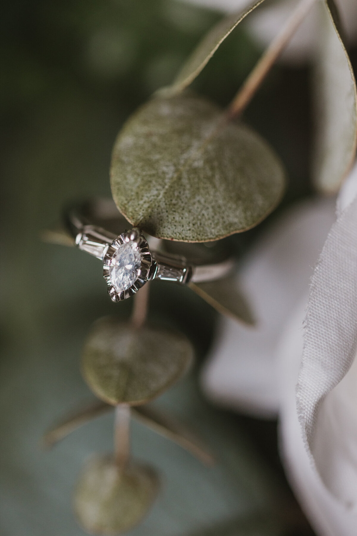 North-Saplings-Photography-Ottawa Wedding Photographer-81